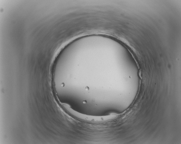 X0000078241508200611251226