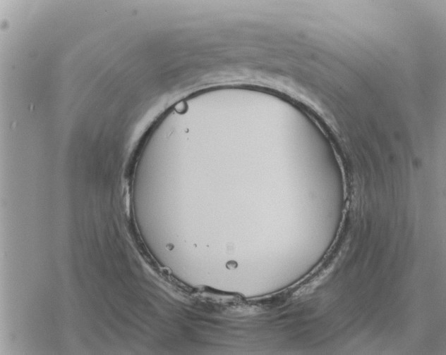 X0000078241509200611251226