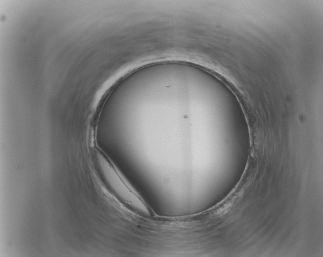 X0000078241510200611251226