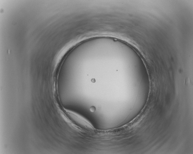 X0000078241511200611251226