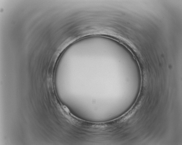 X0000078241513200611251226