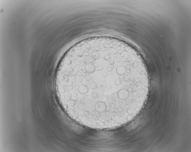 X0000078241514200611251226