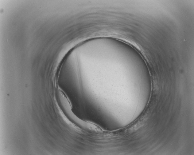 X0000078241515200611251226