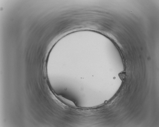 X0000078241516200611251226