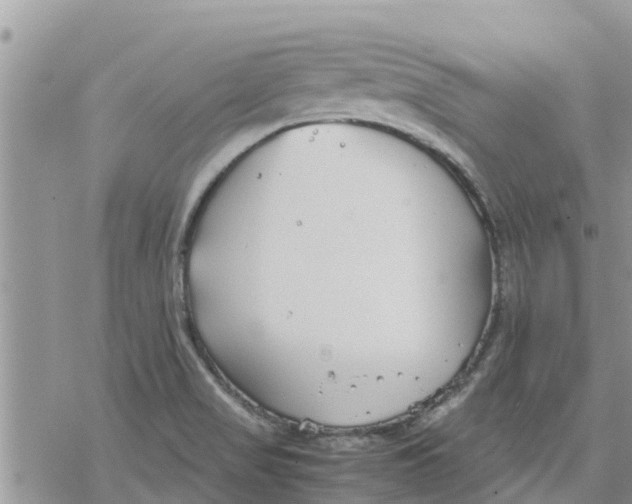 X0000078241517200611251226