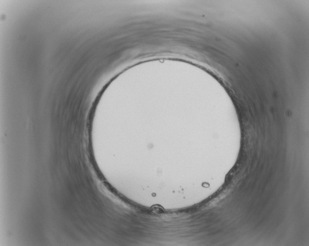 X0000078241518200611251226