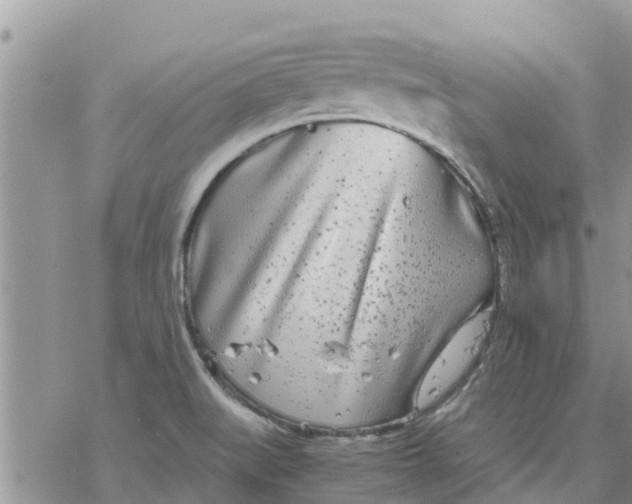 X0000078241519200611251226