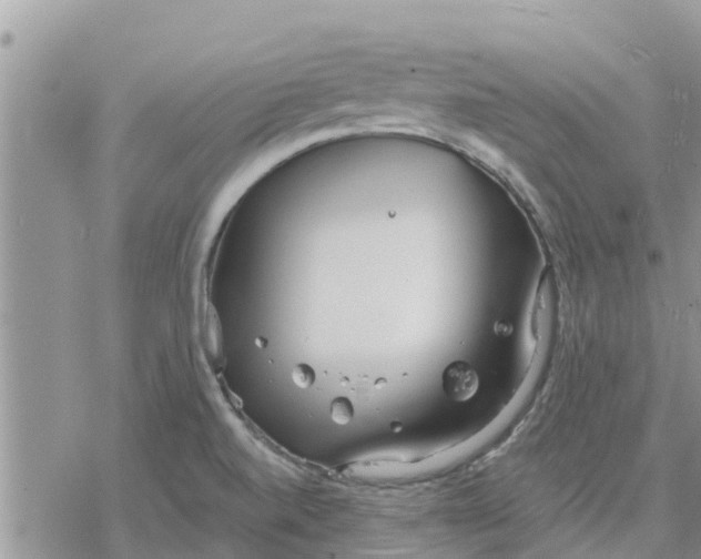 X0000078241520200611251226