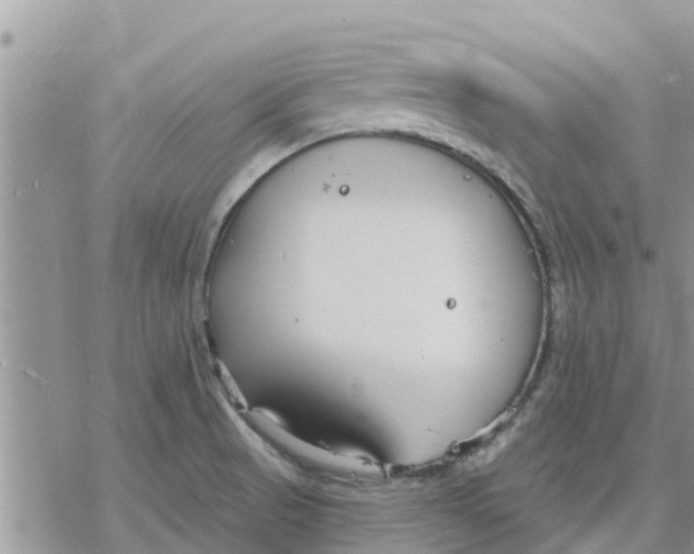 X0000078241521200611251226