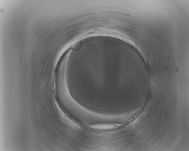 X0000078241522200611251226