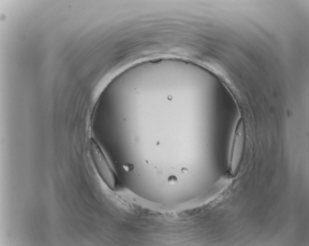 X0000078241524200611251226