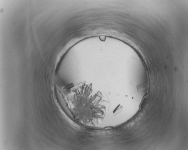 X0000078241525200611251226