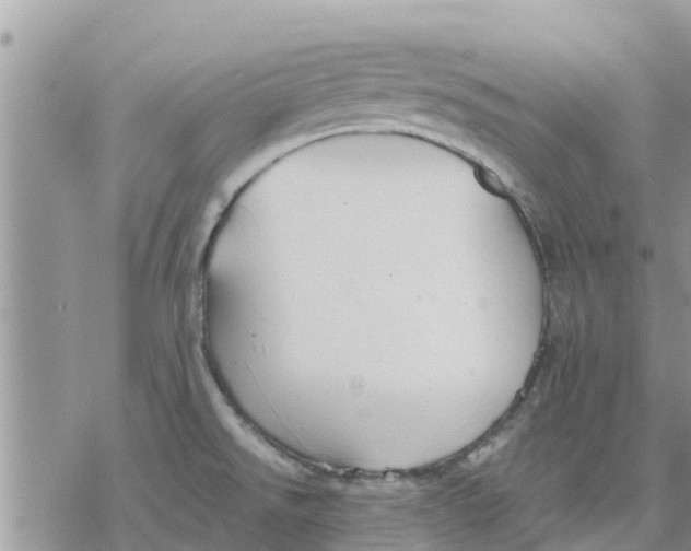 X0000078241526200611251226