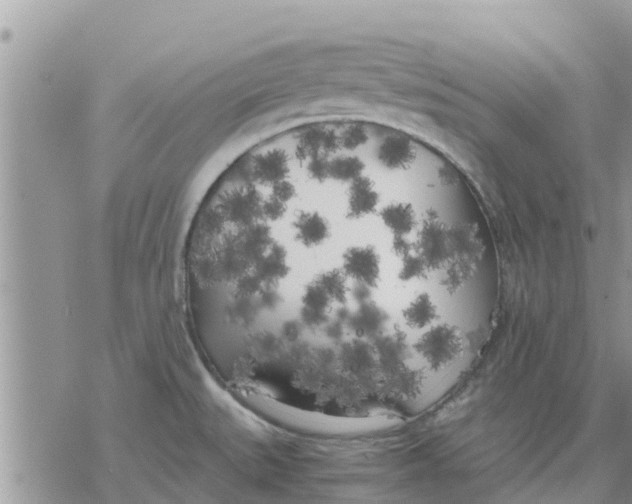 X0000078241527200611251226