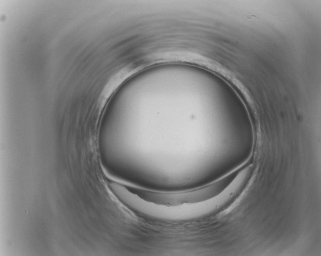 X0000078241529200611251226