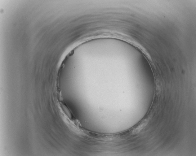 X0000078241530200611251226