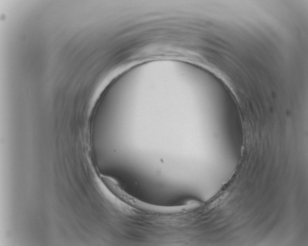 X0000078241531200611251226