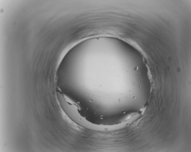 X0000078241532200611251226