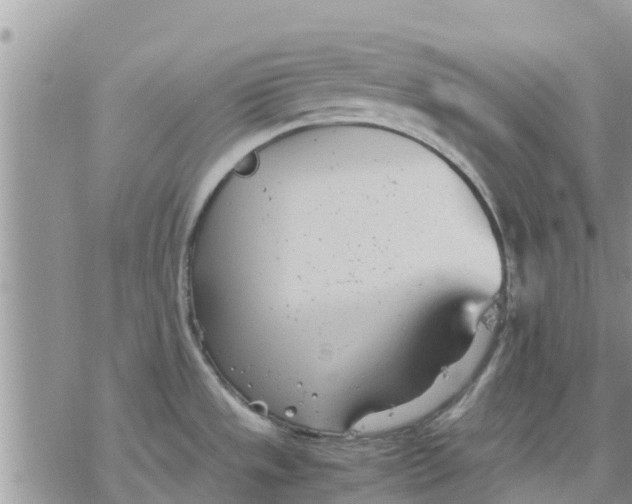 X0000078241533200611251226