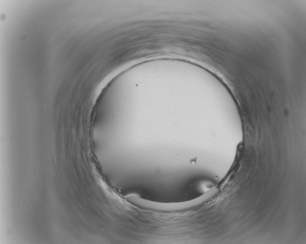 X0000078241534200611251226