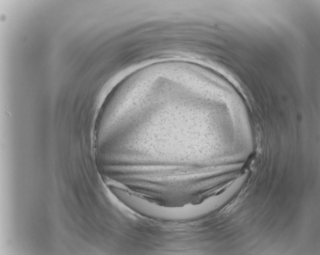 X0000078241535200611251226