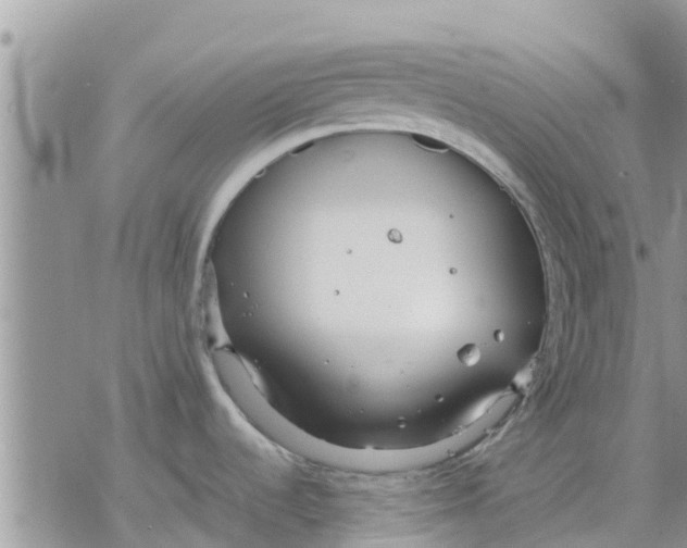 X0000078241536200611251226