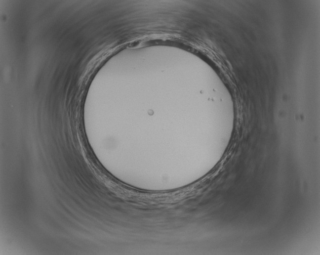 X0000078240001200612011616