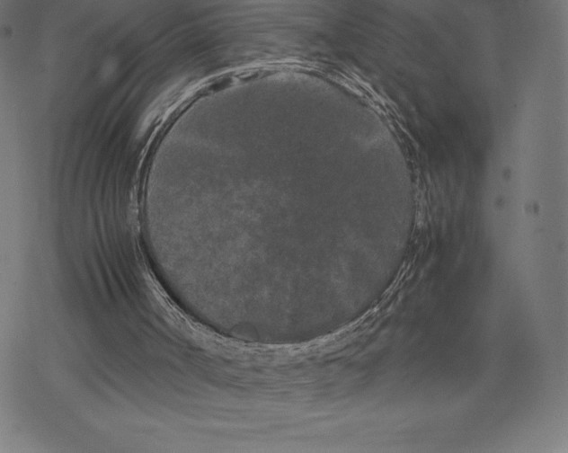 X0000078240002200612011616