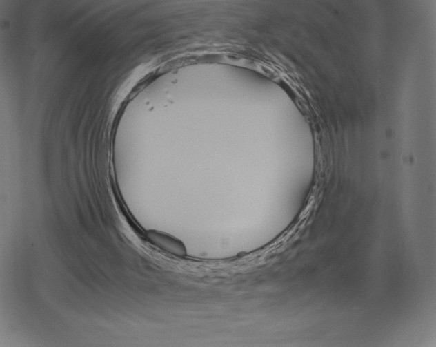 X0000078240003200612011616