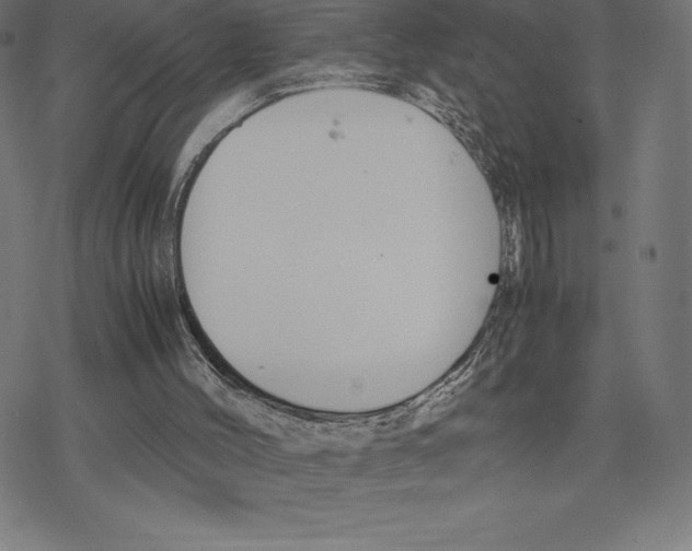 X0000078240004200612011616