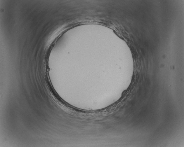 X0000078240005200612011616