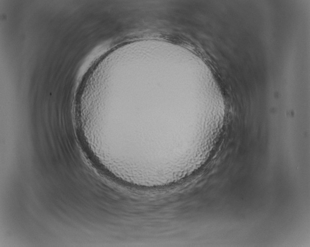 X0000078240006200612011616