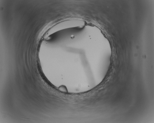 X0000078240007200612011616