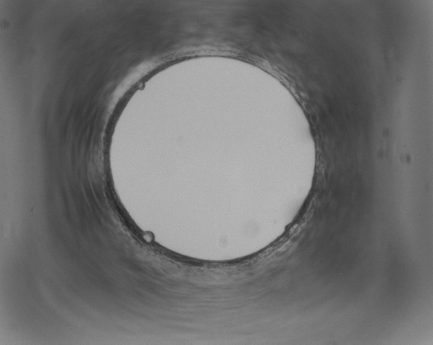 X0000078240008200612011616