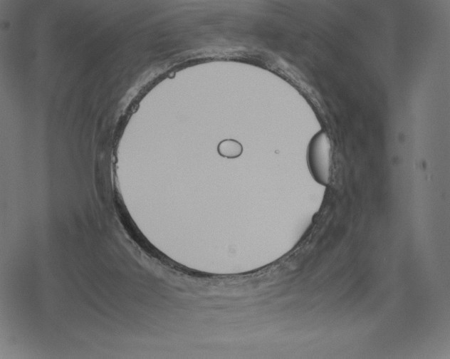 X0000078240011200612011616