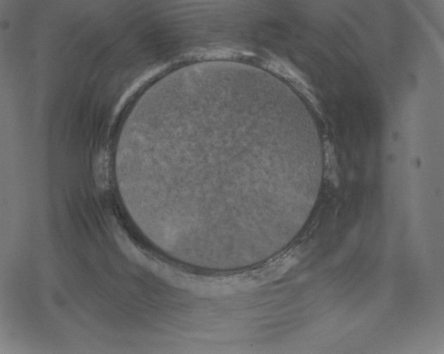 X0000078240012200612011616