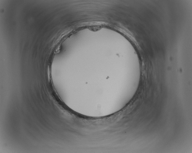 X0000078240013200612011616