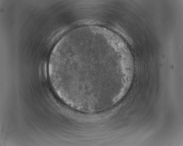 X0000078240014200612011616