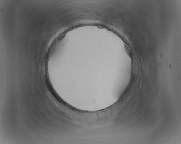 X0000078240015200612011616