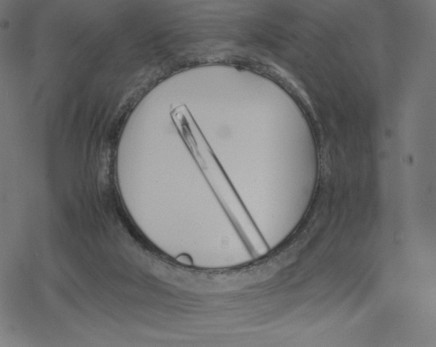 X0000078240018200612011616