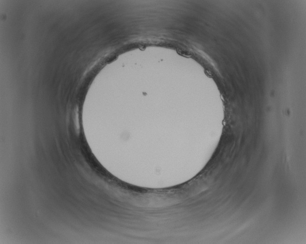 X0000078240020200612011616