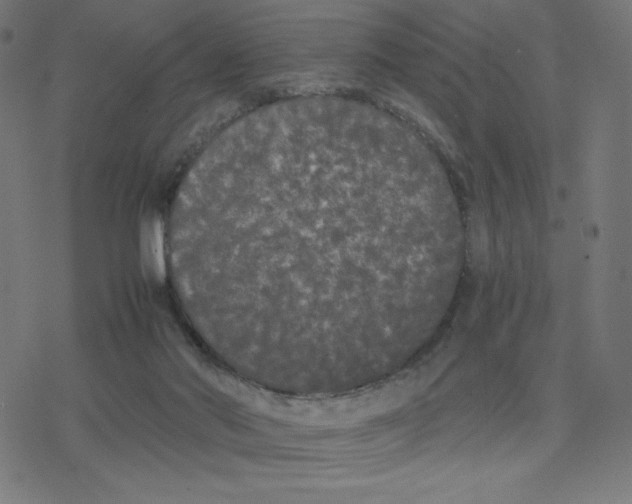 X0000078240022200612011616