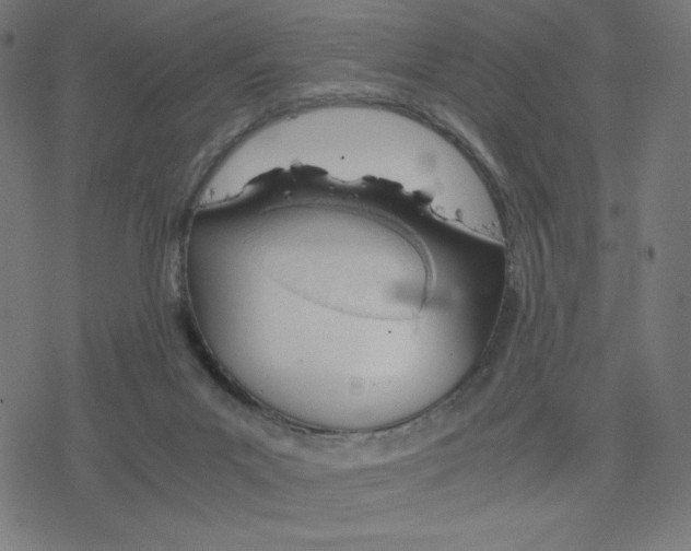 X0000078240023200612011616