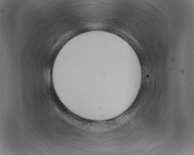 X0000078240024200612011616