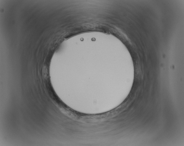 X0000078240025200612011616