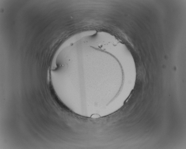 X0000078240027200612011616