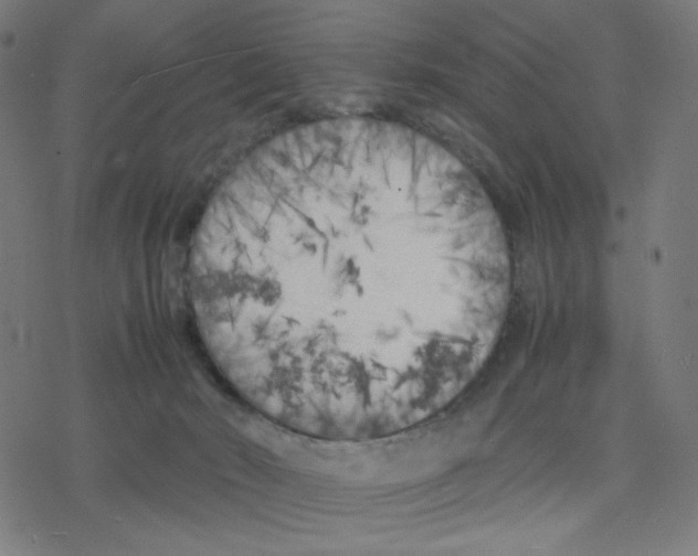 X0000078240030200612011616