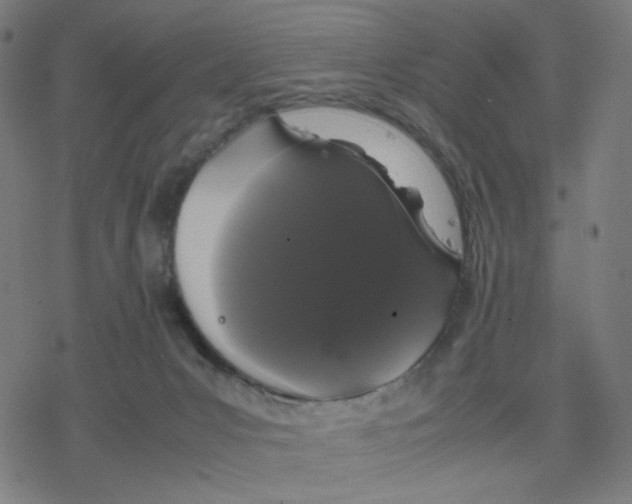 X0000078240031200612011616