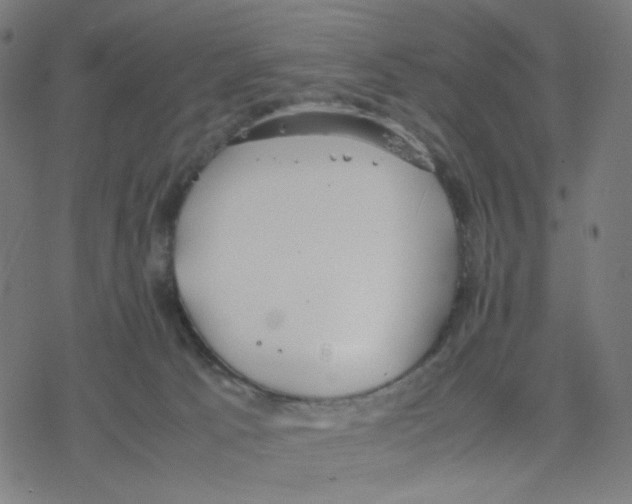 X0000078240033200612011616