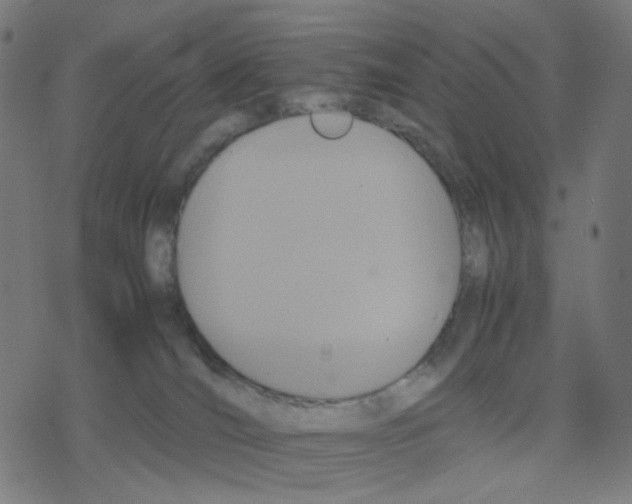 X0000078240036200612011616